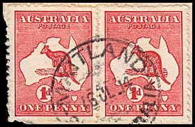 Maitland roo